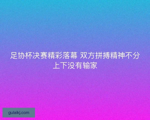 足协杯决赛精彩落幕 双方拼搏精神不分上下没有输家