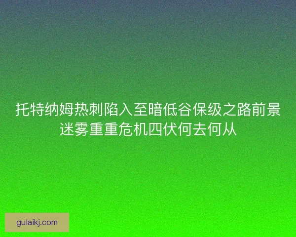 托特纳姆热刺陷入至暗低谷保级之路前景迷雾重重危机四伏何去何从
