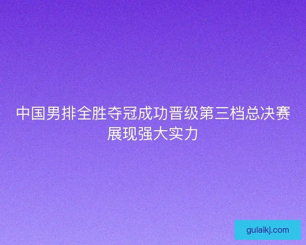 中国男排全胜夺冠成功晋级第三档总决赛展现强大实力 中国男排全胜夺冠成功晋级第三档总决赛展现强大实力