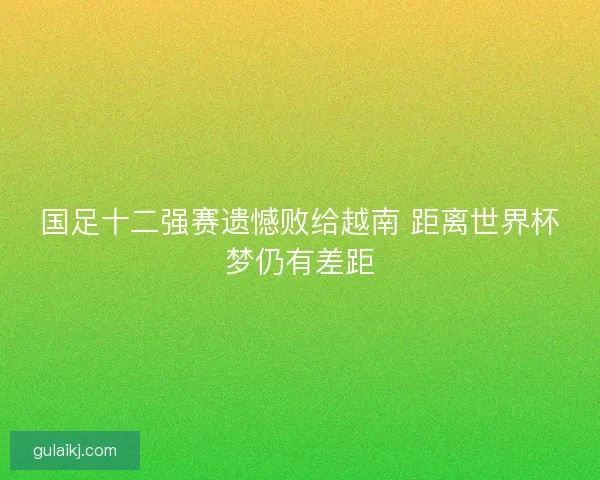 国足十二强赛遗憾败给越南 距离世界杯梦仍有差距 国足十二强赛遗憾败给越南 距离世界杯梦仍有差距